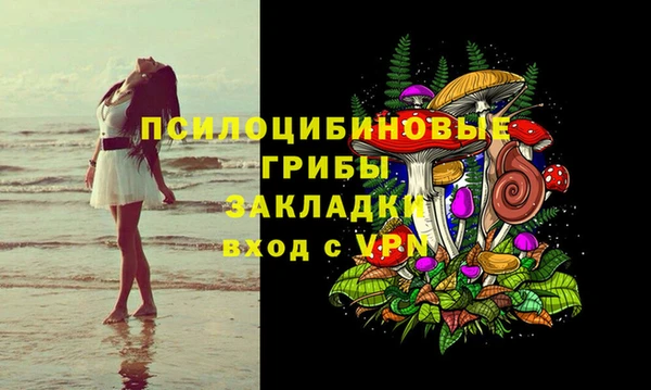дурь Протвино