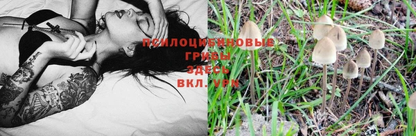 мяу мяу мука Баксан