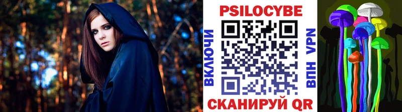Псилоцибиновые грибы Psilocybine cubensis Тотьма